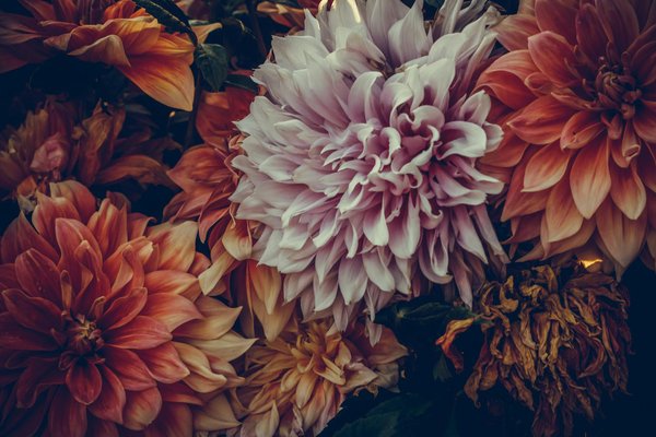 Outils numériques pour planifier son emballage de déménagement